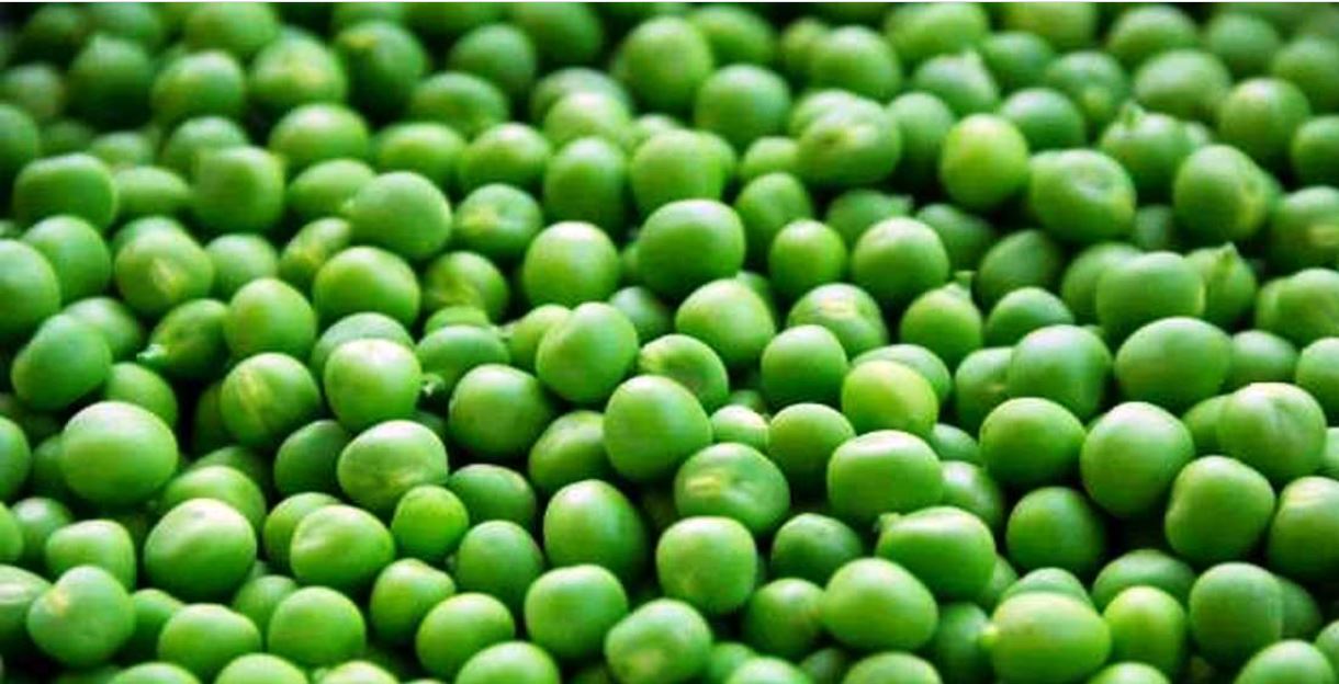 २०३ बोरा मटर बरामद